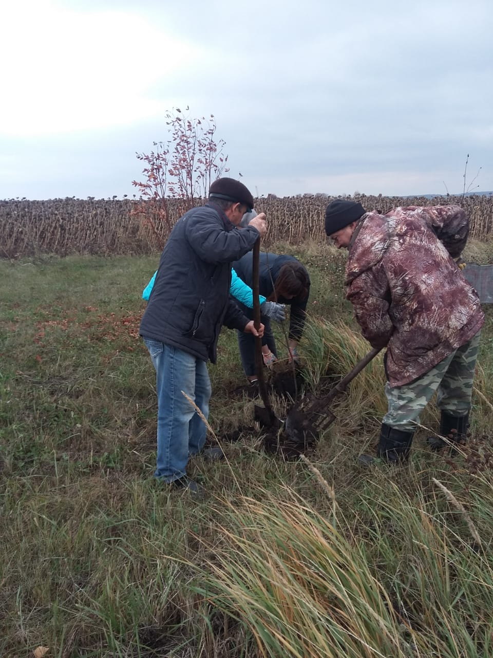 Халыкны эш белән тәэмин итү үзәге хезмәткәрләре тарафыннан агач утырту